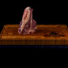 Fiorentina T-Bone – Vacca Polacca Thetis