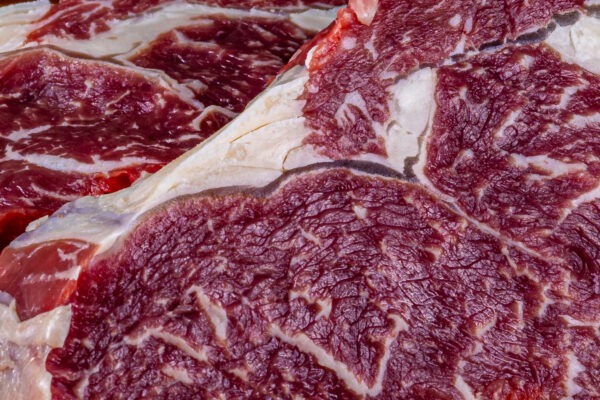 Ribeye – Vitellone Polacco Dedalus - immagine 3