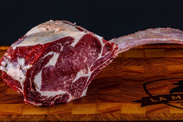 Tomahawk – Vitellone Polacco Dedalus - immagine 3